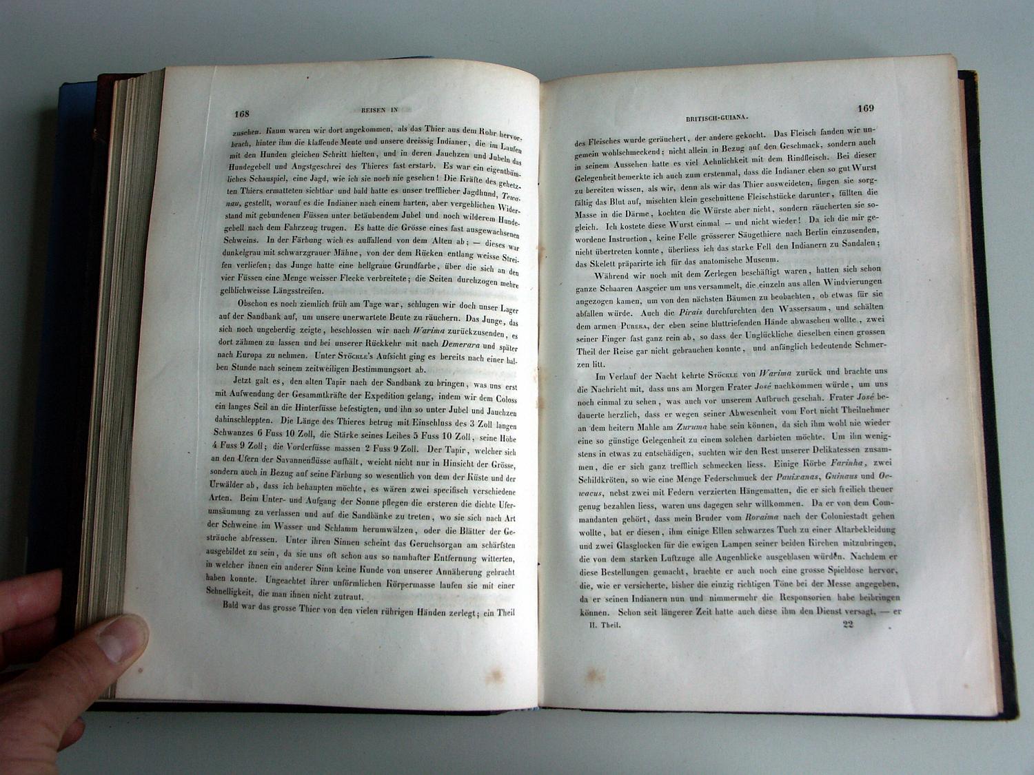 ZZ-RISC48,S.168 Federschmuck Pauixana+Guinau+Oewacu und Feder-Hängematte von FRater Jose